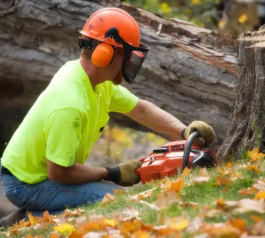 tree services Amityville